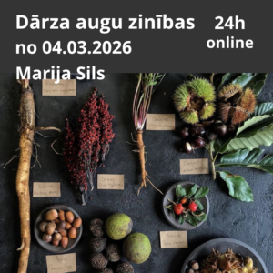 SKOLA// DZIEDNIECĪBA 2.kurss // 04.03.26 sākums / Dārza augu zinības @ Dziedniecības skola// Dārza augu zinības // 2.kurss// trešdienu vakaros // pasniedz Marija Sils / maksa Dziedniecības skolas studentiem 130 eiro mēnesī; maksa atsevišķai tēmai 35 eiro reize