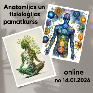 SKOLA// DZIEDNIECĪBA// 14.01.26 sākums / ANATOMIJAS un FIZIOLOĢIJAS pamatkurss @ Dziedniecības skola// Anatomijas un fizioloģijas pamatkurss // 2x mēnesī trešdienās// pasniedz Rita Pedāne / maksa Dziedniecības skolas studentiem 60 eiro mēnesī; maksa atsevišķai lekcijai 35 eiro reize